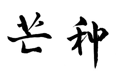 9分42秒头撞玻璃会怎样：心灵破碎，玻璃为证：揭秘9分42秒的惊魂瞬间