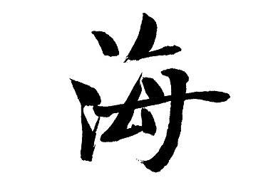 养什么动物可以日着玩：悠闲伴侣，欢乐日常：揭秘轻松养宠秘籍，与你共度温馨时光