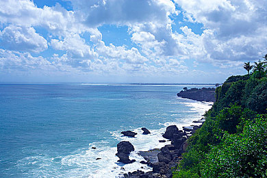 海贼王女帝被 18禁海军：动漫审查风波：海贼王女帝遭18禁，引发公众热议与反思