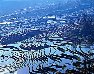 豆奶app：豆香四溢，饮界畅游，邂逅美味瞬间-1