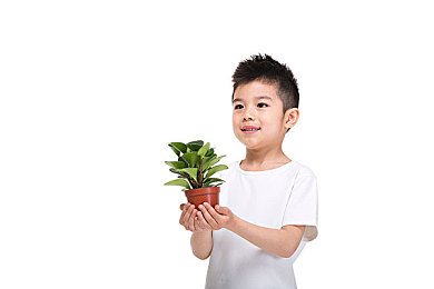 男女WWW：破解性别密码，游戏网站SEO的个性攻略术