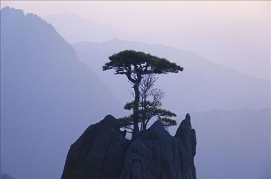 黄色软件下载3.0.3每天无限次破解： 免费获取资源,畅享无限体验!：畅玩无限！揭秘热门游戏“黄色软件下载3.0.3”破解攻略及同款推荐-1