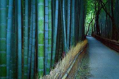 把校花 吊起来打屁股!：校园风波：校花意外成焦点，网络热议“正义”惩罚瞬间-1