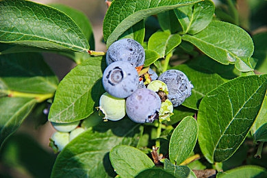 无尽 得到 可爱 讨厌：游戏新视角：揭秘“得到”魅力，解锁可爱与讨厌的双重体验