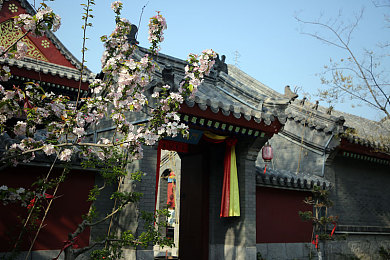 综合久草：千年神草焕新姿，科技赋能探寻东方神秘瑰宝之旅-1