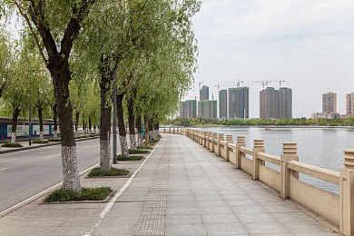 五月丁香久久久：盛夏花开，丁香花海映衬城市文化韵，赏花热浪涌动美好生活