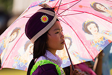黄色软件大全免费：免费软件盛宴：探索“黄色软件大全”带来的无限惊喜与便捷