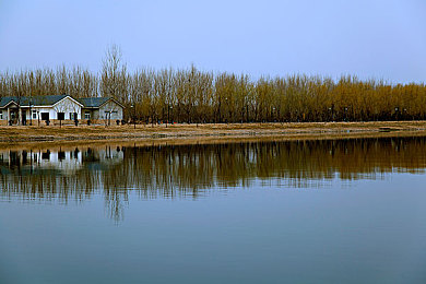 打扑克又痛又叫的视频：扑克牌桌笑翻天，欢乐人生牌技传