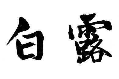 网站你应该明白我说的什么吧：王者荣耀攻略解析：深入解析英雄技能，解锁团队胜利秘诀
