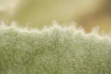亚洲一二三：亚洲崛起新篇章：经济科技文化融合，共绘一带一路辉煌图景-2
