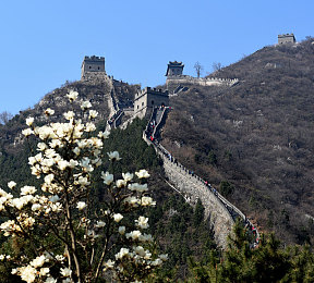 黄色视频下载入口：网络净化行动：共筑清朗空间，守护青春防线-2