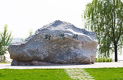 绿巨人wwwwww：漫威新篇章：绿巨人传奇再续，超级英雄与现实的碰撞-2