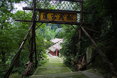 黄色软件app免费下载oppo：免费陷阱：揭秘下载平台暗藏风险，守护网络安全之旅-1