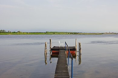 胡桃流口水翻白眼咬铁球的：狗狗趣味秀：萌犬胡桃咬球挑战记