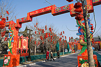 www.那个对那个疼aPP：情感共鸣之海，心灵共享之旅-2