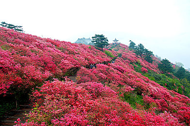 爽 躁多水 快 深点44se：畅游四维世界，探秘44se狂潮，爽快与深度并存之旅