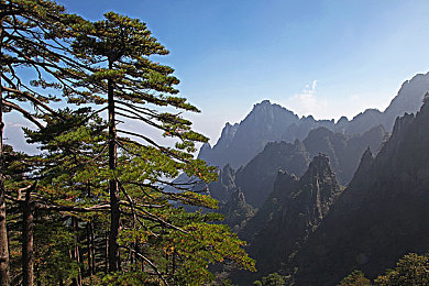 张津瑜现在的现状怎么样：明星慈善传奇，张津瑜蜕变之路-3