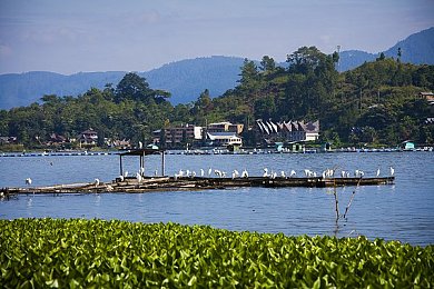 体育生脱裤子自慰：竞技巅峰：私密技巧助你破纪录-2