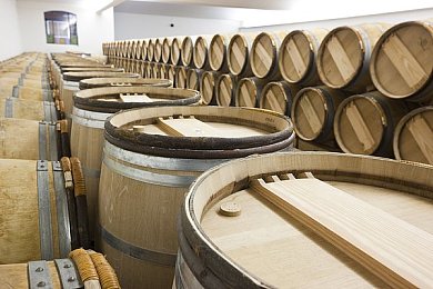 汤姆叔叔tom最新地域网名：“游戏主播汤姆叔叔tom新网名“东方巨龙”引热议，传承中华传统文化成焦点”-1