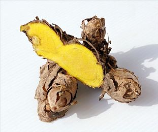 两个人的www：密语空间，情谊无限，社交新体验，连接心与心-2