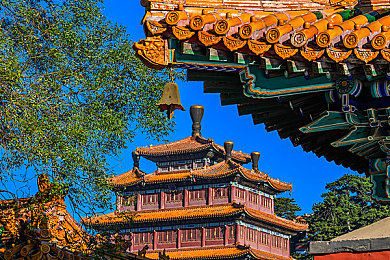 雁门照阿胶：武侠江湖传奇之旅，雁门关秘境等你探索-1