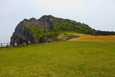 麻豆村：古韵寻踪，水墨麻豆：穿越千年的风情画卷