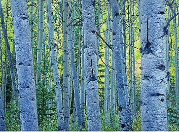 点击三秒自动进入秘密通道：揭秘：幻境传说游戏网站创新功能，三秒畅游神秘世界引热议-2