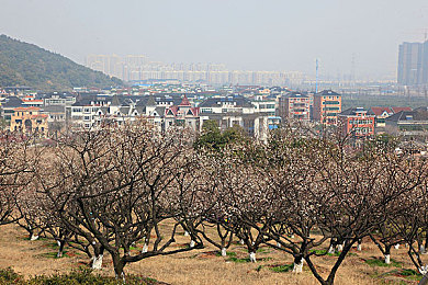 97国精产品无人区一码二码：穿越97国秘境，解码未知探险传奇-3