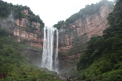 丁香五月丁香：诗意花语寻踪之旅-2