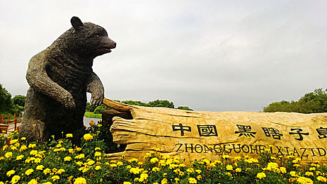 丁香六月婷婷激情：夏日激情狂欢，视觉盛宴畅游新巅峰