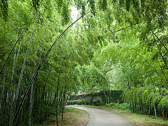 校花脱了裤子让我：《梦幻校园》奇遇揭秘：校园生活模拟经营，校花互动魅力提升-2