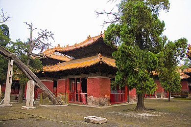 香蕉a视频：探险奇幻大陆，香蕉A世界任你驰骋-1