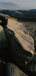 软件大全免费下载3.0.3每天华为：华为应用市场，海量免费资源，每日焕新体验，便捷软件盛宴-2