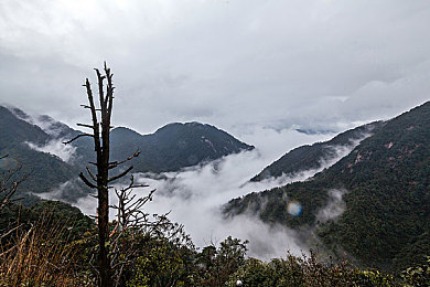 原千岁穿牛仔裤是哪部：揭秘经典瞬间：原千岁牛仔裤造型背后的《东京物语》传奇-2