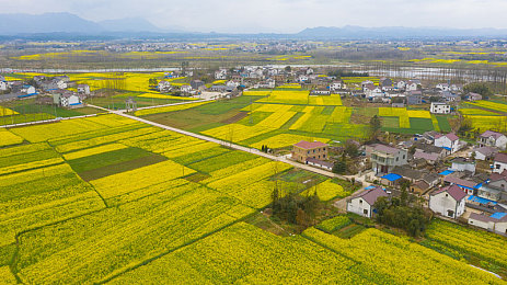 差差差很疼APP：轻松化解生活压力，幽默APP让快乐传递你我他