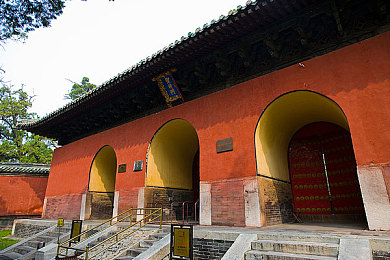 不知火舞沙滩：舞动青春，畅游欢乐海洋：揭秘《不知火舞》的魅力世界
