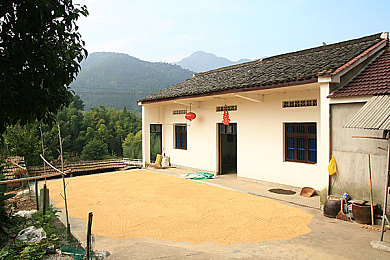 春雨直播免费视频直播：畅游无界，直播新体验——揭秘春雨直播魅力-4