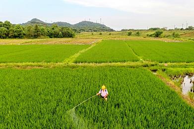 含羞草实验实验究2023：“2023含羞草研究新突破：植物调控与环境监测新利器，揭秘神奇反应机制引关注”-2