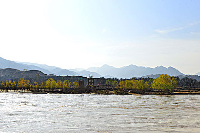 蘑菇视频张津瑜：《荒野大镖客2》探秘攻略：跟随游戏达人，轻松升级，畅享西部冒险之旅-3