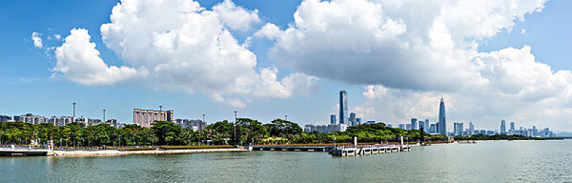 妈妈用手指在狗儿后背写字：母指绘爱意，狗狗回应摇尾传温情：一幕动人心弦的人宠情缘-2