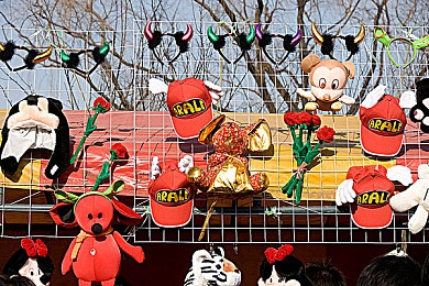 腿再张大一点就可以吃到扇贝了：舒展双腿，美味尽享——扇贝美食节挑战体验之旅-3