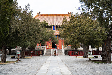 九九热热久久：“重阳节：登高赏菊，传承敬老文化，共筑和谐家园”-2