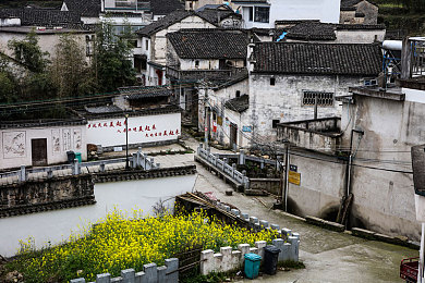 梦梦到粉丝家实战免费：虚拟偶像之家，互动新体验，畅享梦幻互动时光-3