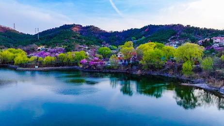 4388 全国情人免费网：浪漫邂逅，情网情深，缘来是你-2
