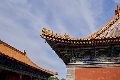 zztt15黑料爆料：娱乐圈揭秘：网爆风云，真相追踪-2