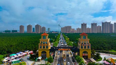 黄台aop：古韵黄台寻珍记，匠心传承之旅-1