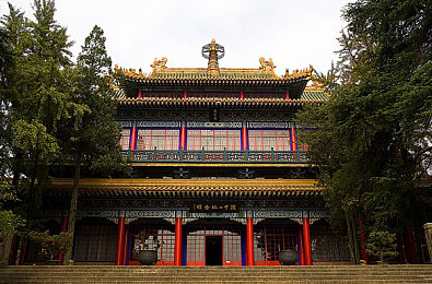 吃瓜八卦网站：网络探秘乐园：八卦狂欢，资讯速递-3
