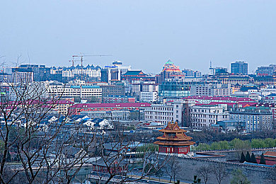 bdSmGay调教前列腺：前列腺健康秘境之旅-1