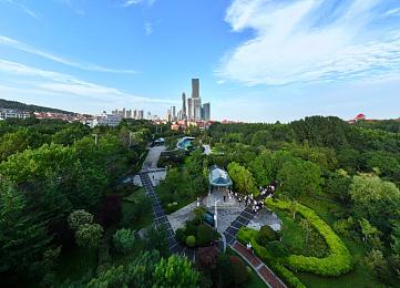 女性脱 给我揉 游：穿越千年的智慧之旅，解密“脱揉”游戏传奇