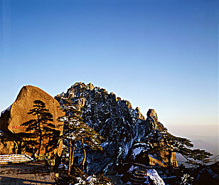 1995版意大利丛林泰山：穿越非洲秘境，泰森情深探险之旅-2